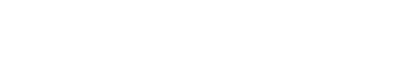 DVI V2V Logo